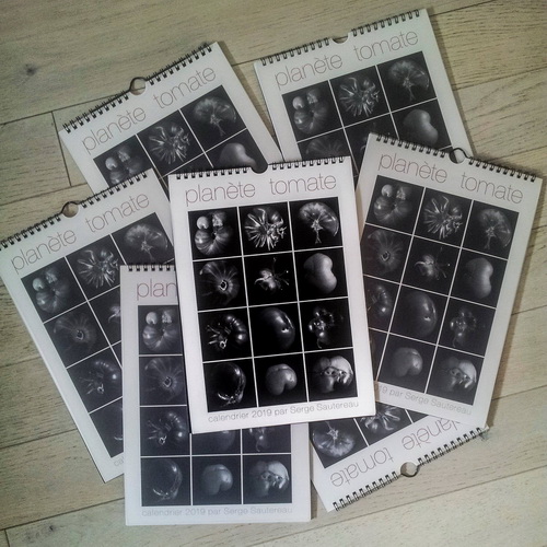 calendrier 2019 A4 calendrier 2019 A4